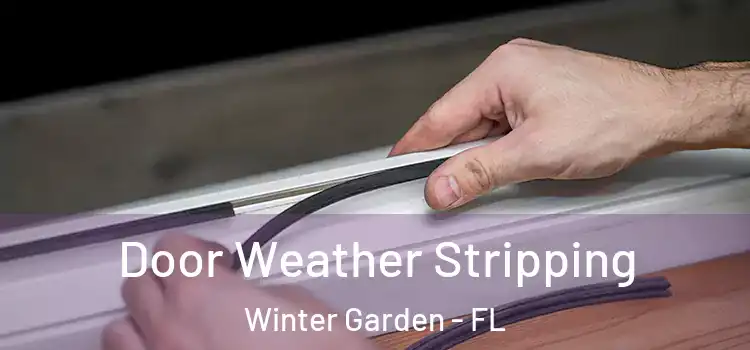 Door Weather Stripping Winter Garden - FL