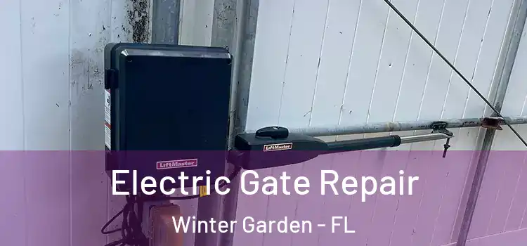 Electric Gate Repair Winter Garden - FL