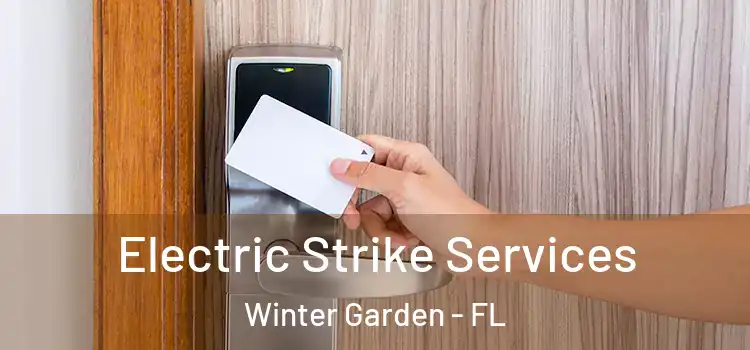 Electric Strike Services Winter Garden - FL