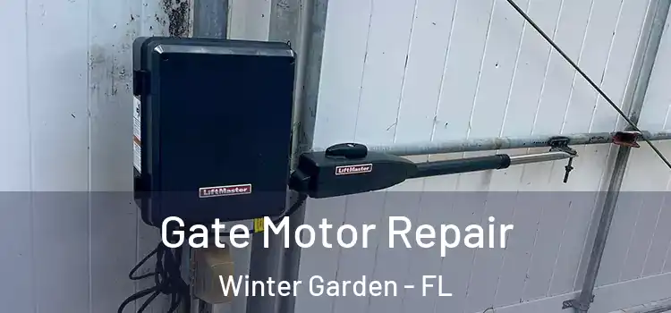 Gate Motor Repair Winter Garden - FL