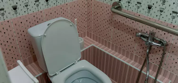 Meeting Diverse Needs With Accessible Restroom Solutions in Winter Garden, FL