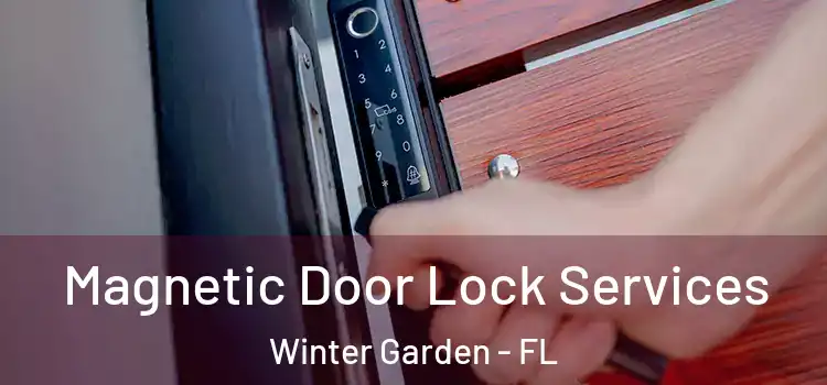Magnetic Door Lock Services Winter Garden - FL
