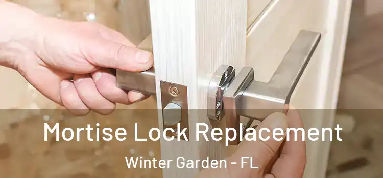 Mortise Lock Replacement Winter Garden - FL