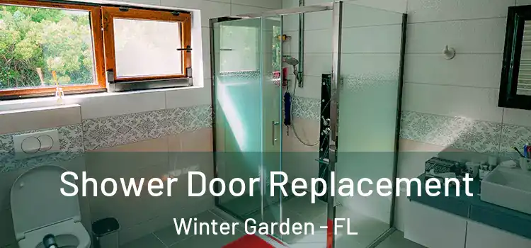 Shower Door Replacement Winter Garden - FL